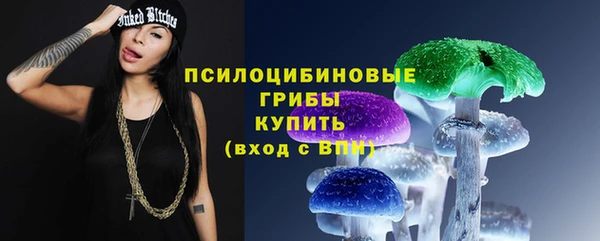 тгк Алексеевка