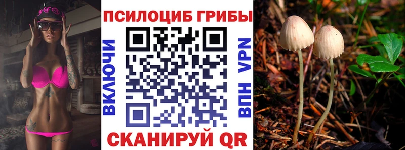 Псилоцибиновые грибы Cubensis  что такое наркотик  OMG как зайти  Белебей 